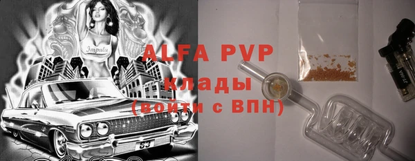 сатива Нягань