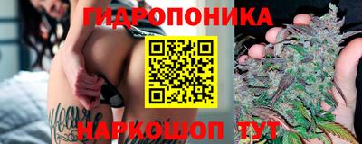 гашик Будённовск