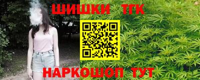 гашик Будённовск