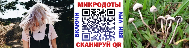 Галлюциногенные грибы прущие грибы  закладки  Котельники 
