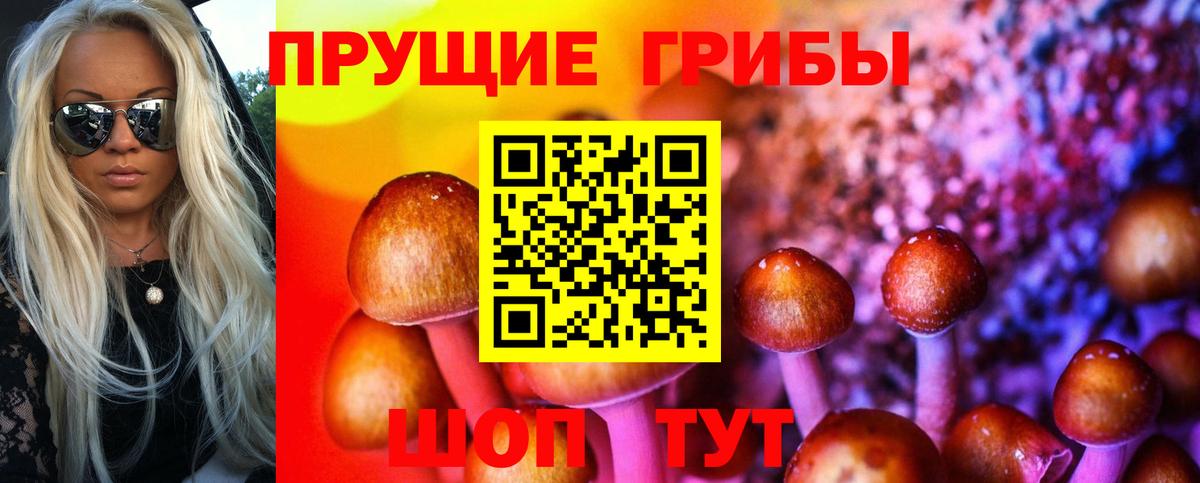 как найти наркотики  Вход с VPN  Псилоцибиновые грибы Magic Shrooms  Котельники  Псилоцибиновые грибы GOLDEN TEACHER 